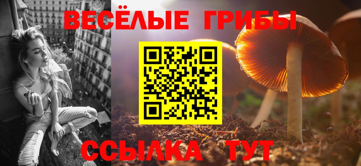 Галлюциногенные грибы Psilocybine cubensis  Псилоцибиновые грибы прущие грибы  Вход с VPN  Ялта 